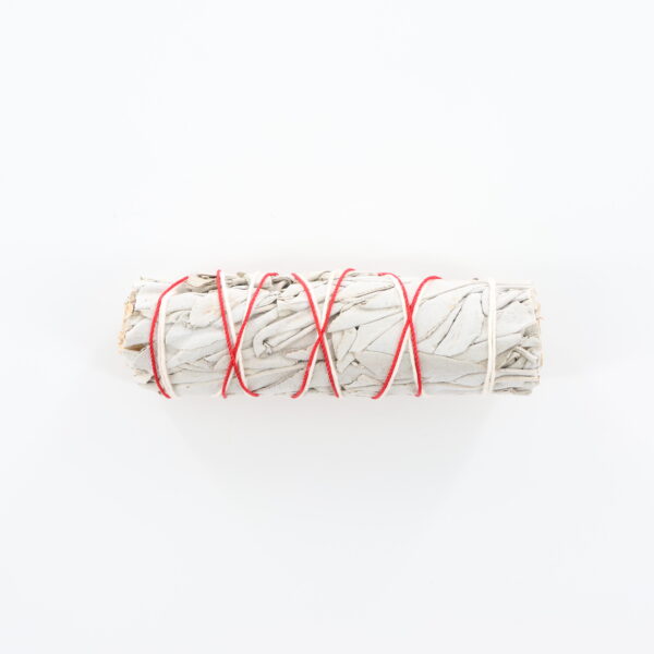4" White Sage