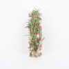 4" White Sage/Rosemary