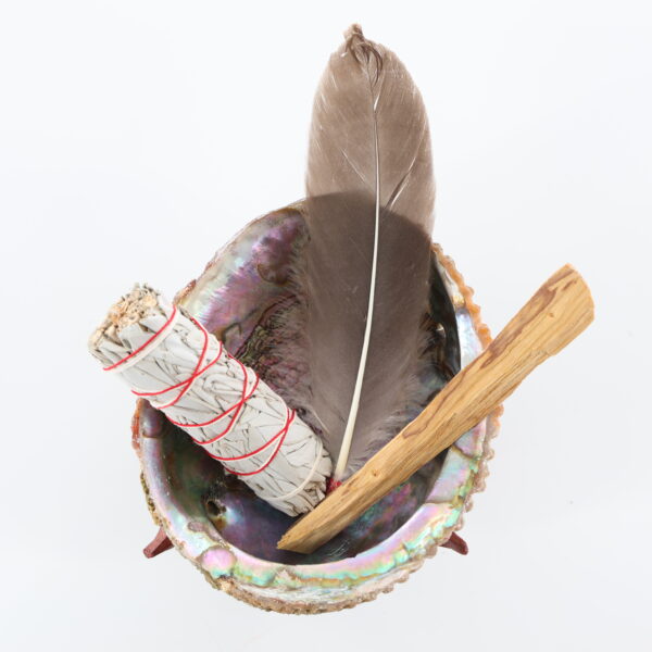 Natural Abalone Shell Cleansing Set