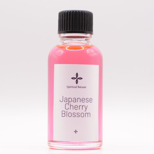 Japanese Cherry Blossom