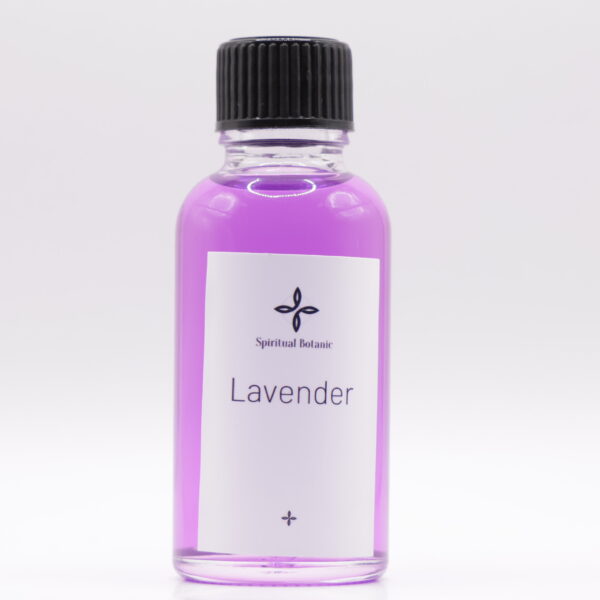 Lavender
