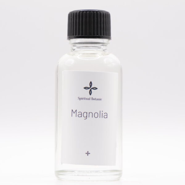 Magnolia