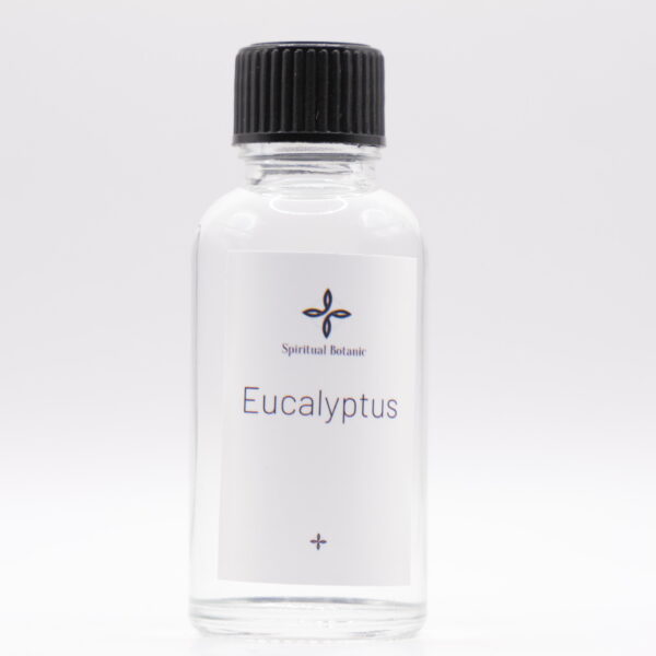 Eucalyptus